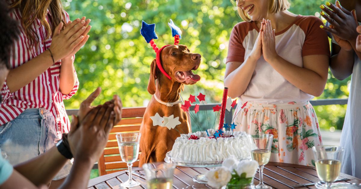愛犬の誕生日プレゼントはコレで決まり!おすすめの人気グッズ3選もあわせて紹介!