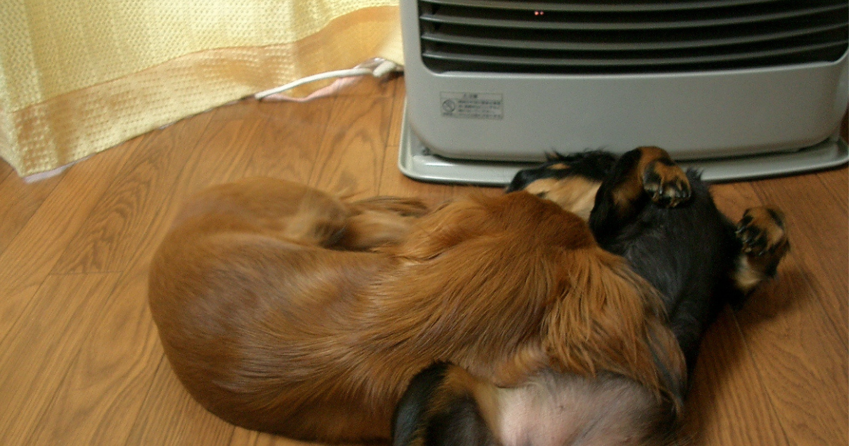 暖房器具の前で温まる犬