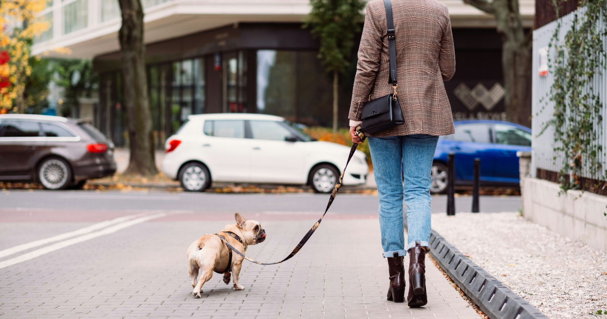 犬のお散歩の「使いにくい」を解消!安全で機能的な斜め掛けショルダーバッグを紹介