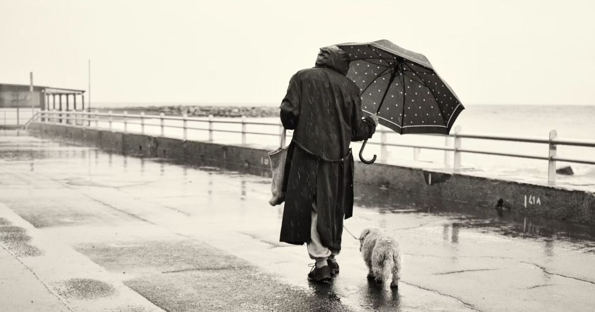 雨の日も犬の散歩は必要?ストレスを減らすコツと便利アイテム