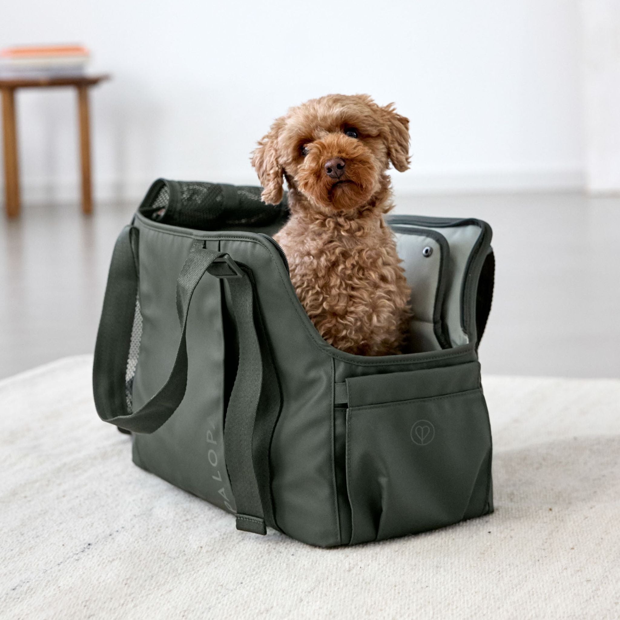 犬のキャリーバッグ / Carrier Bag | PALOPA Japan(パロパ)