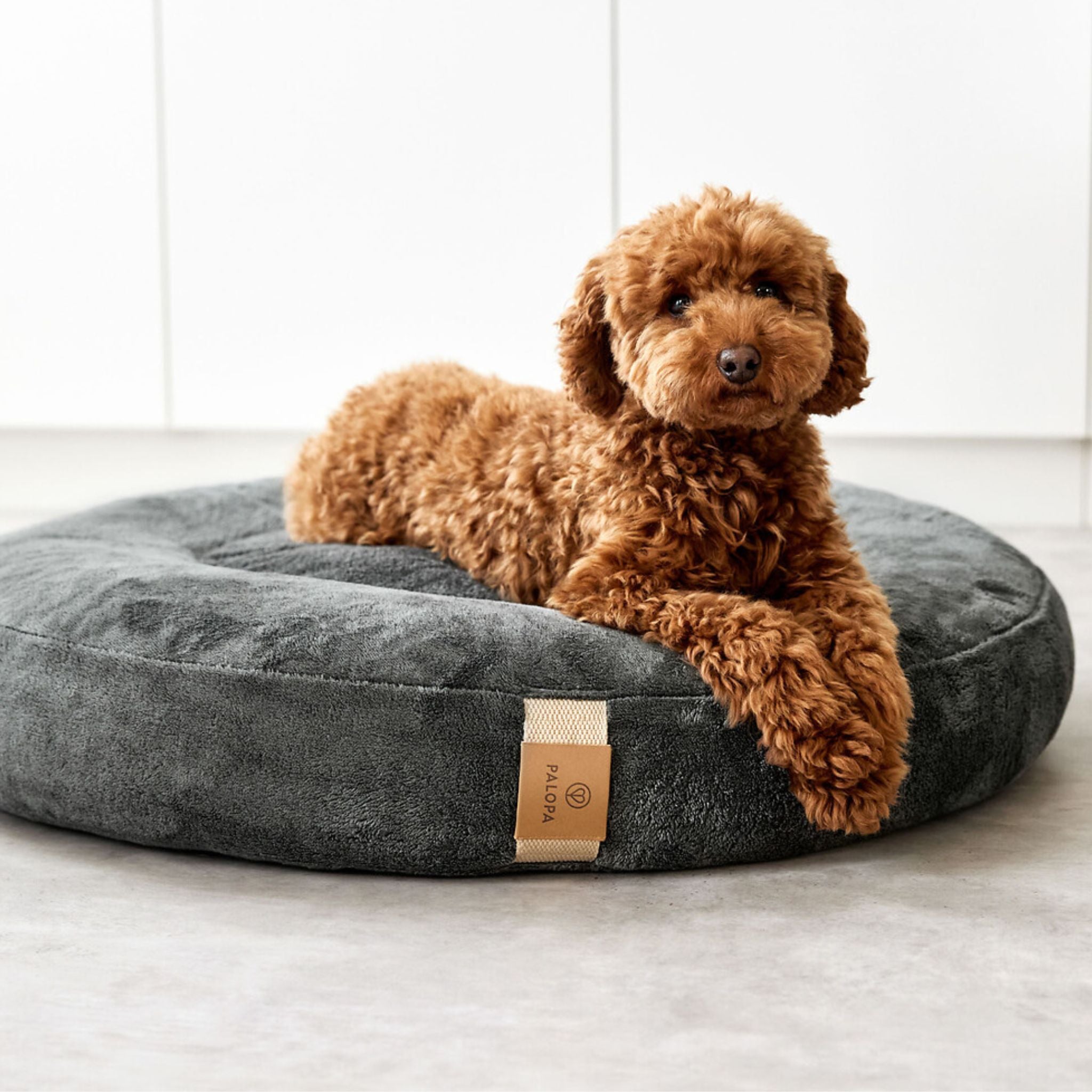 【夏・冬両用】丸型犬用ベッド / Dog Bed Donut | PALOPA Japan(パロパ)