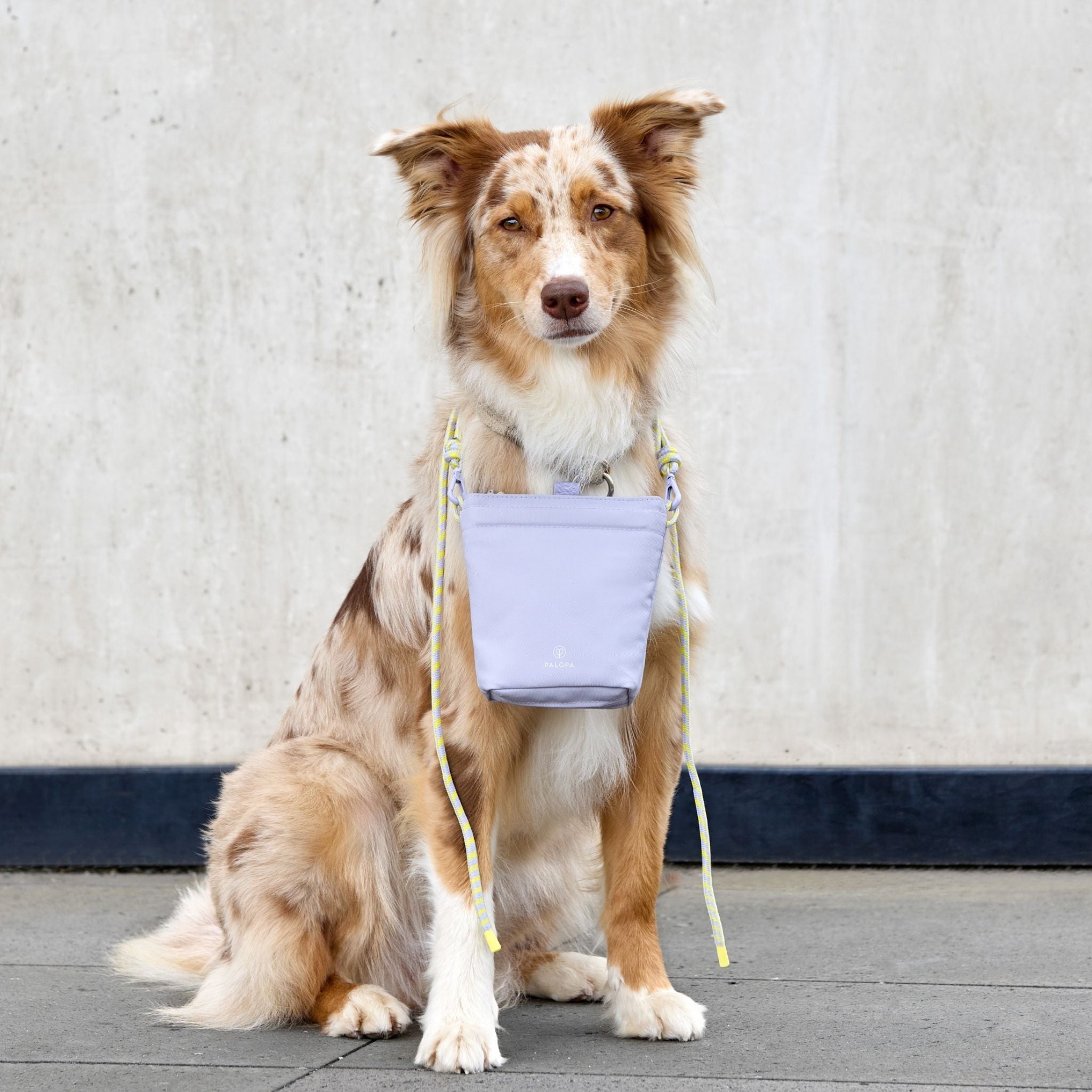 Karl (犬のお散歩ショルダーバッグ) / Dog Snack Bag Karl | PALOPA Japan(パロパ)