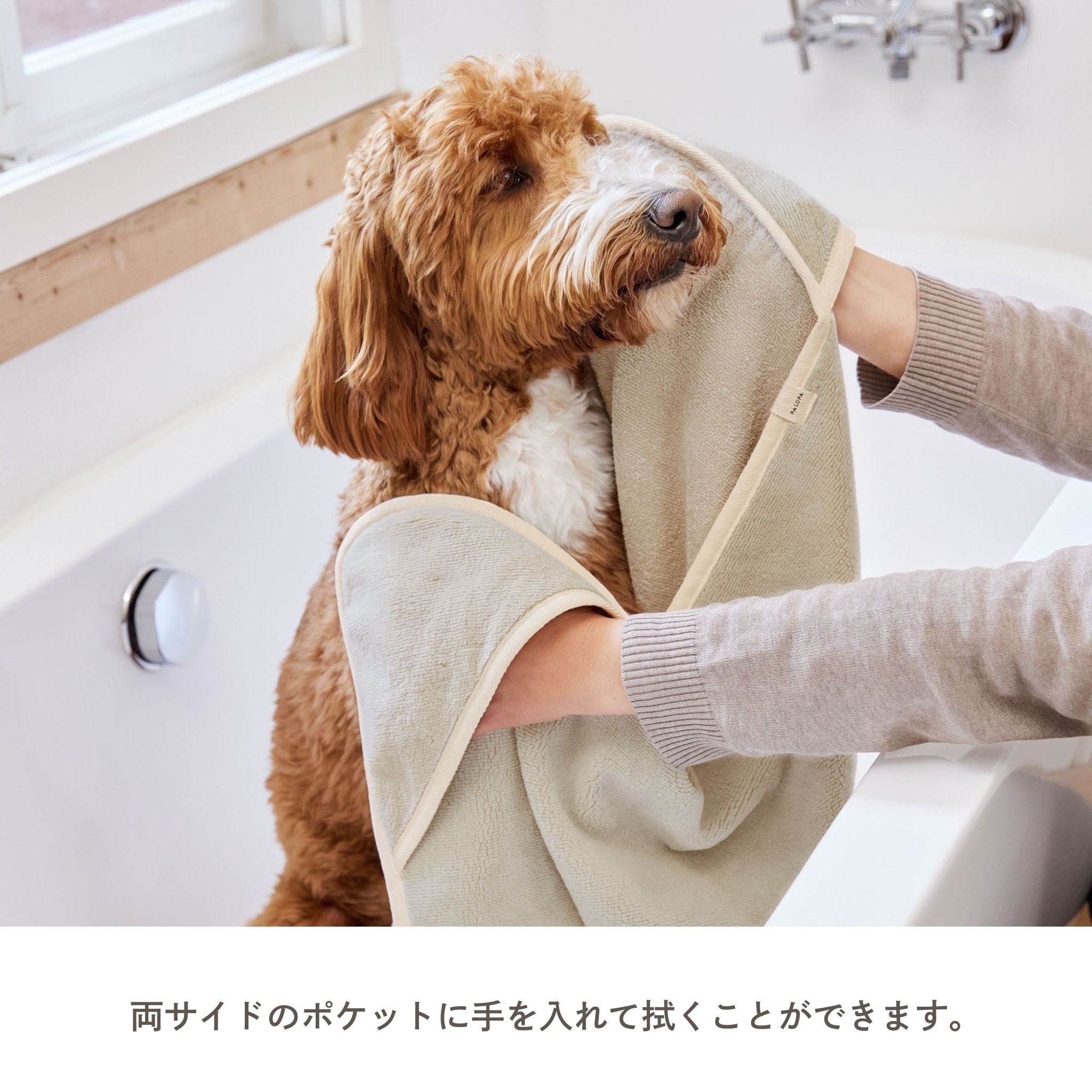 【発売開始前】パイル地ドッグタオル / Dog Towel Kosy | PALOPA Japan(パロパ)