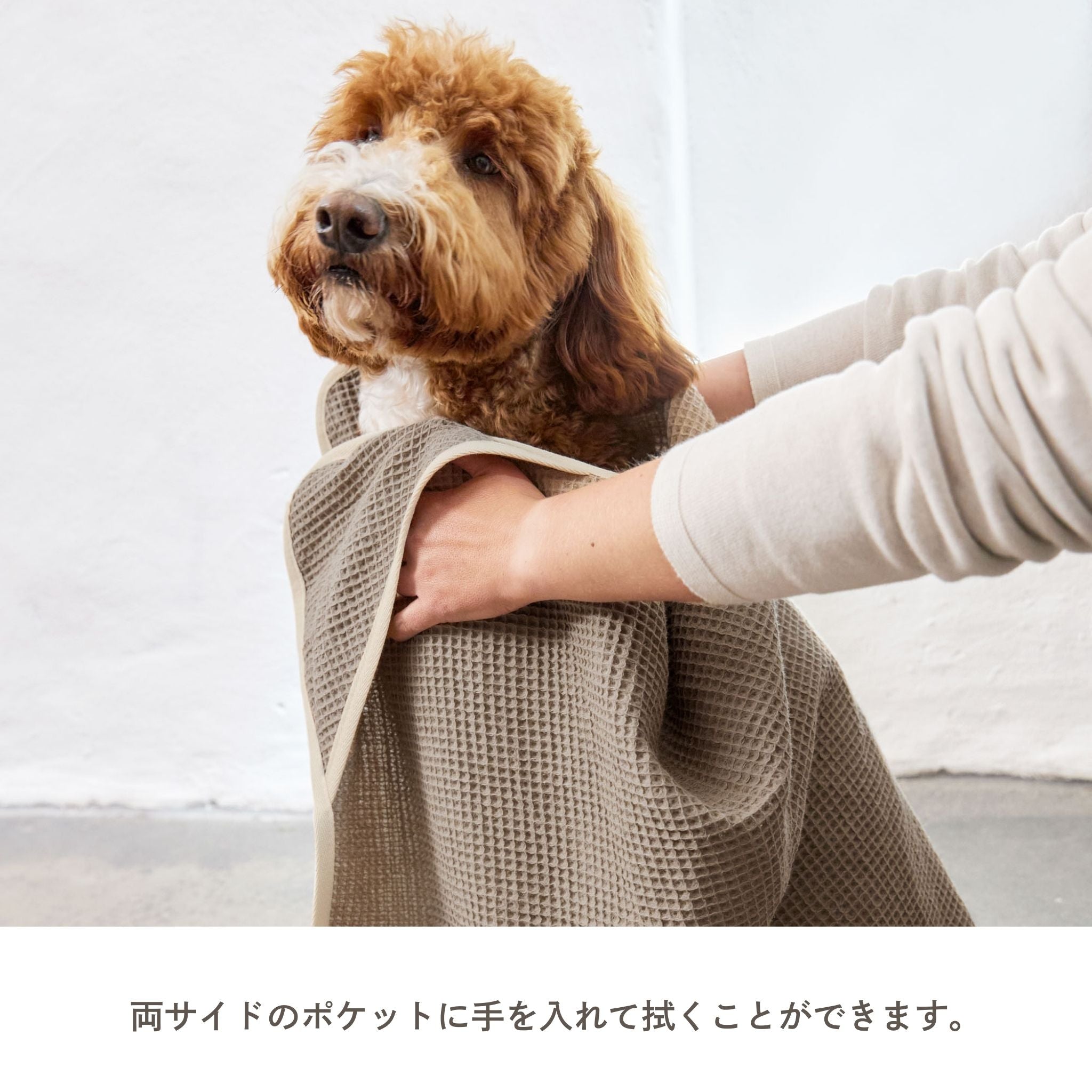【発売開始前】ワッフル地ドッグタオル / Dog Towel Nobs | PALOPA Japan(パロパ)