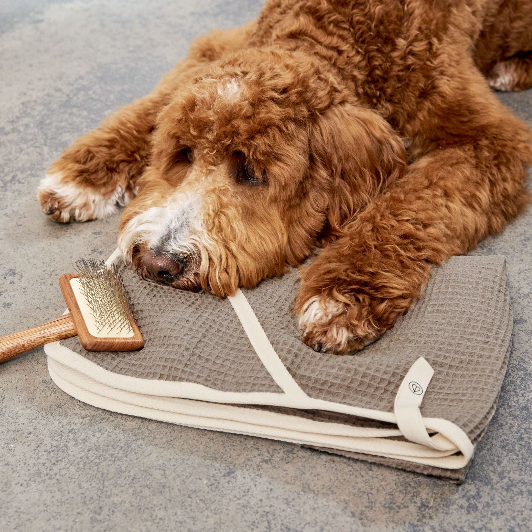 【発売開始前】ワッフル地ドッグタオル / Dog Towel Nobs | PALOPA Japan(パロパ)