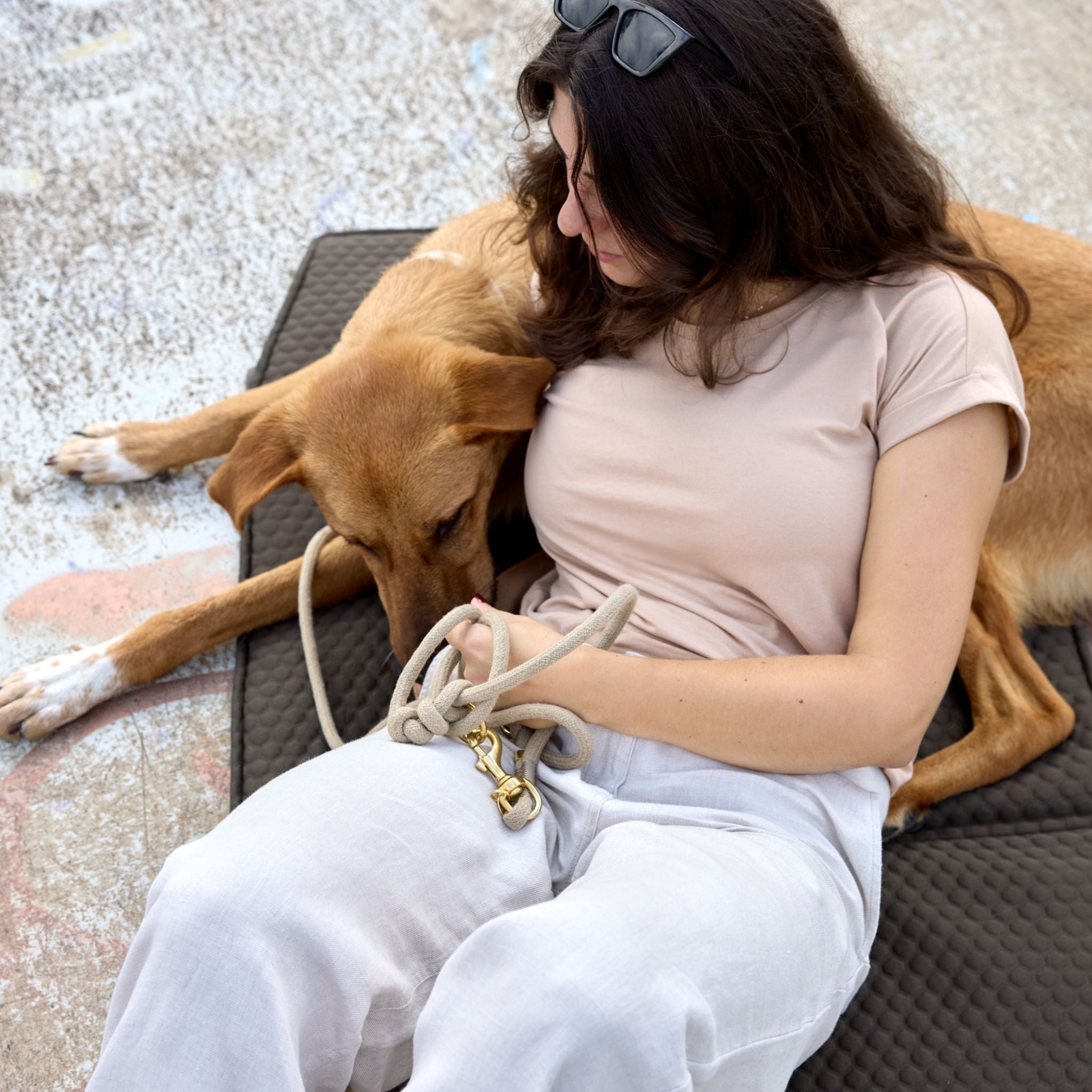 マットバッグ / Dog Travel Bag | PALOPA Japan(パロパ)