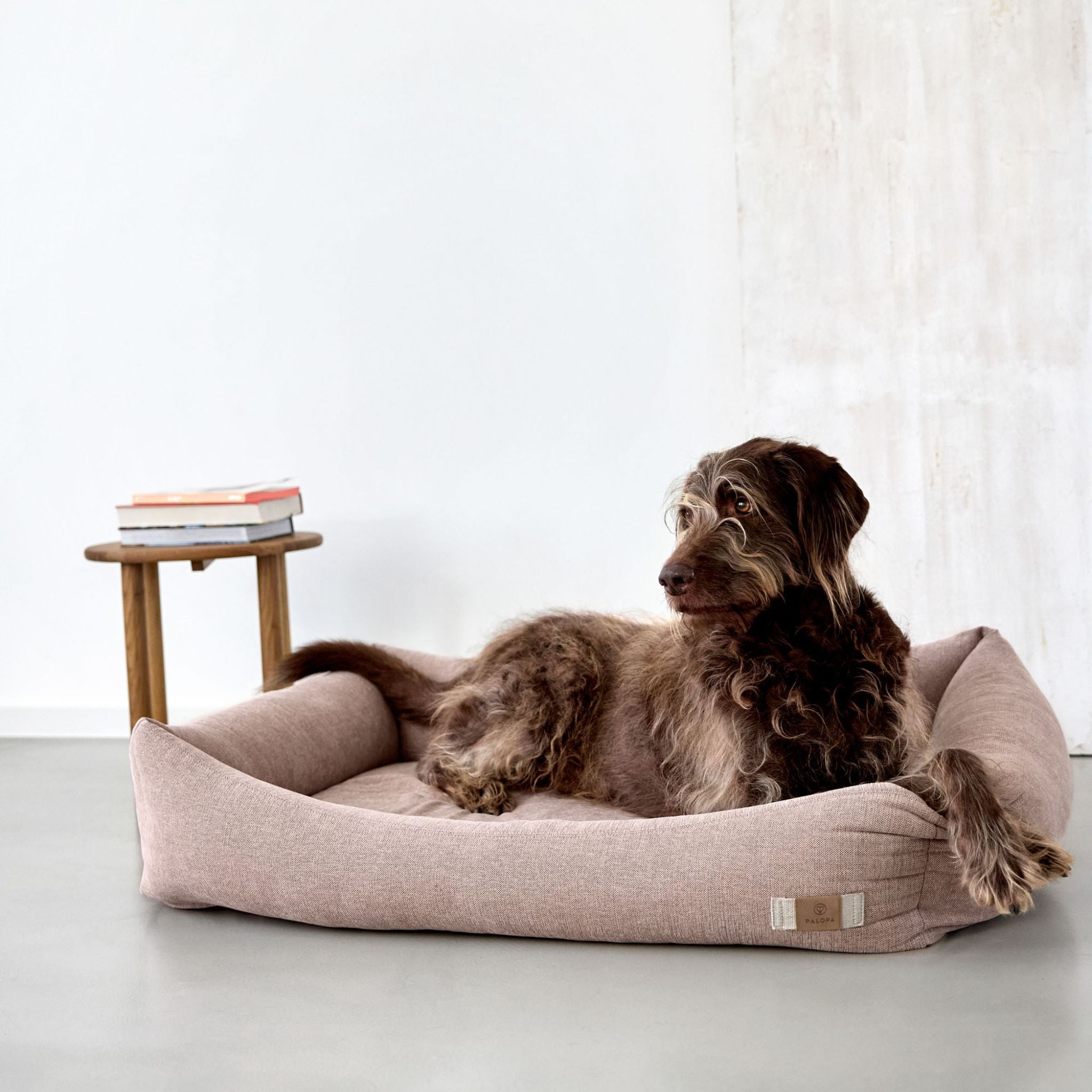 【New】犬用コットンベッド / Dog Bed Cotton | PALOPA Japan(パロパ)