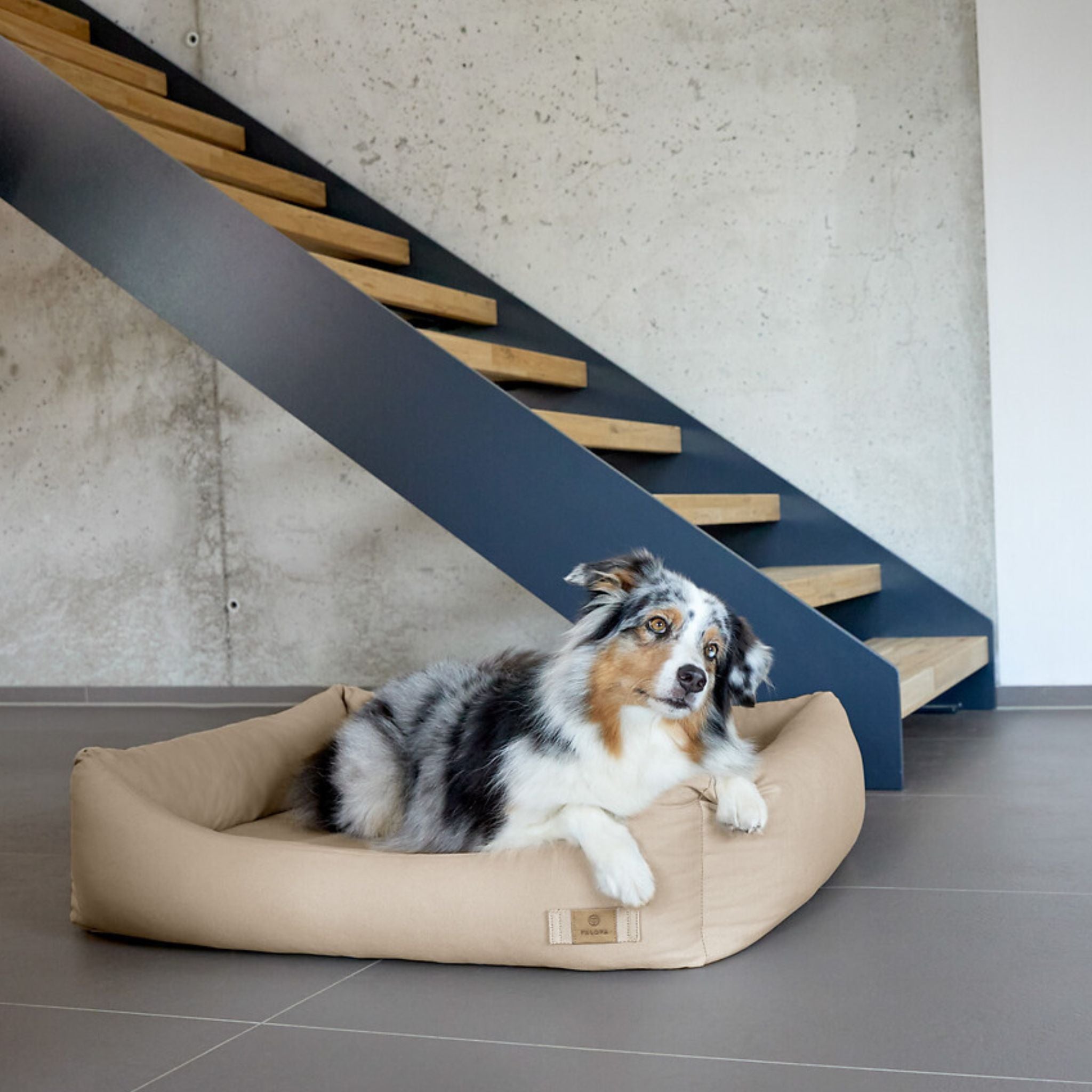 【夏・冬両用】犬用コットンベッド / Dog Bed Cotton | PALOPA Japan(パロパ)