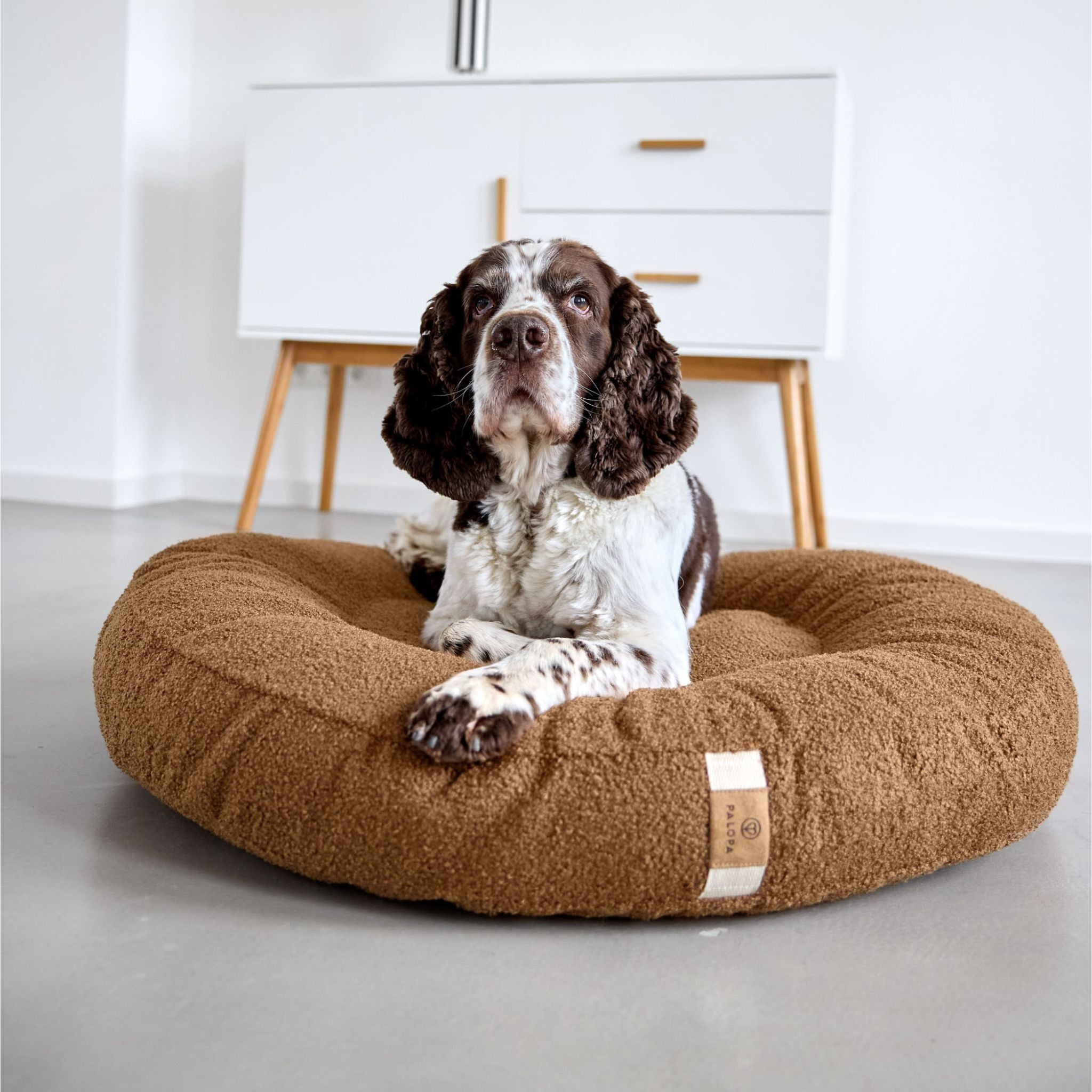 【発売開始前】丸型犬用ベッド / Dog Bed Donut | PALOPA Japan(パロパ)