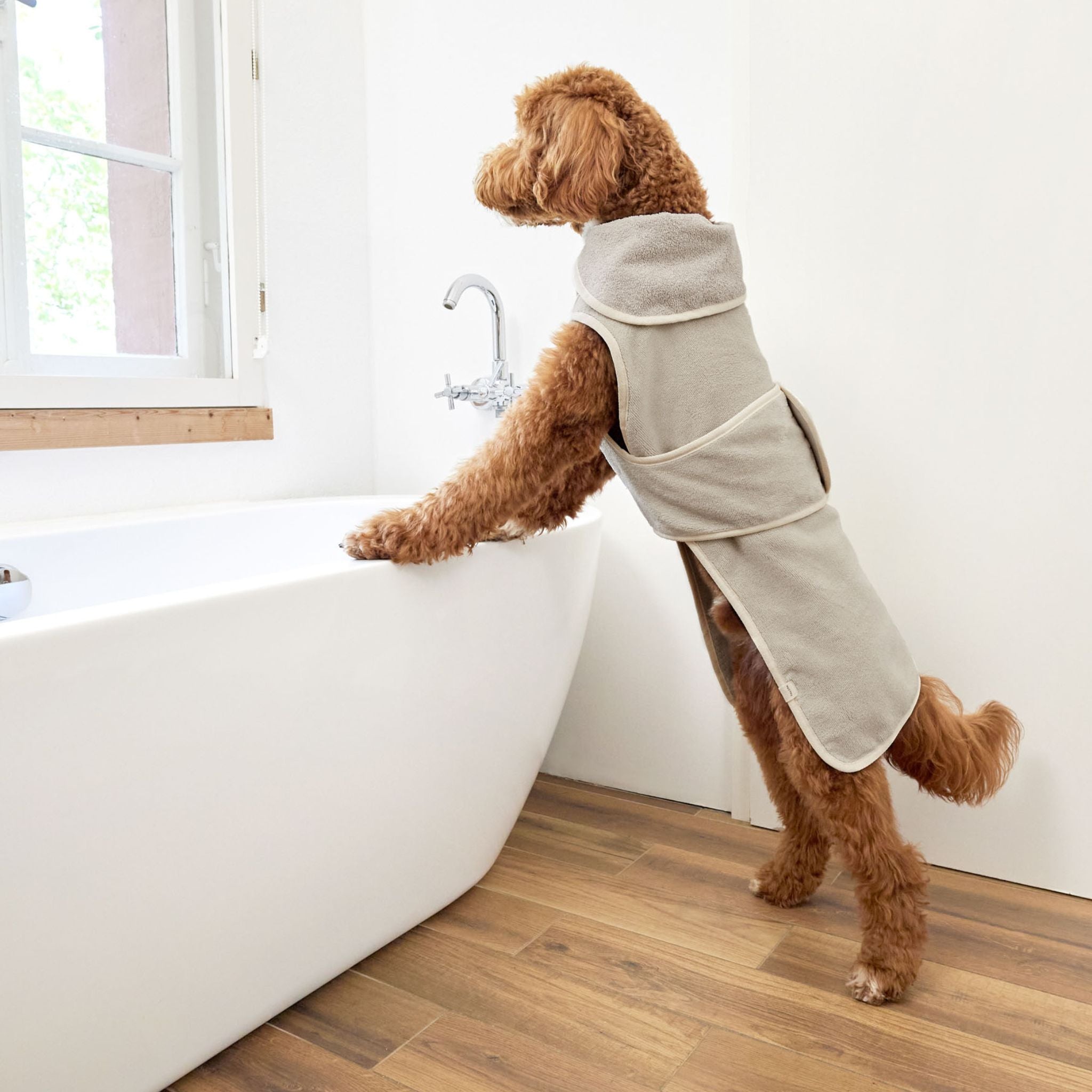 【発売開始前】ドッグバスローブ / Dog Bathrobe Robi | PALOPA Japan(パロパ)