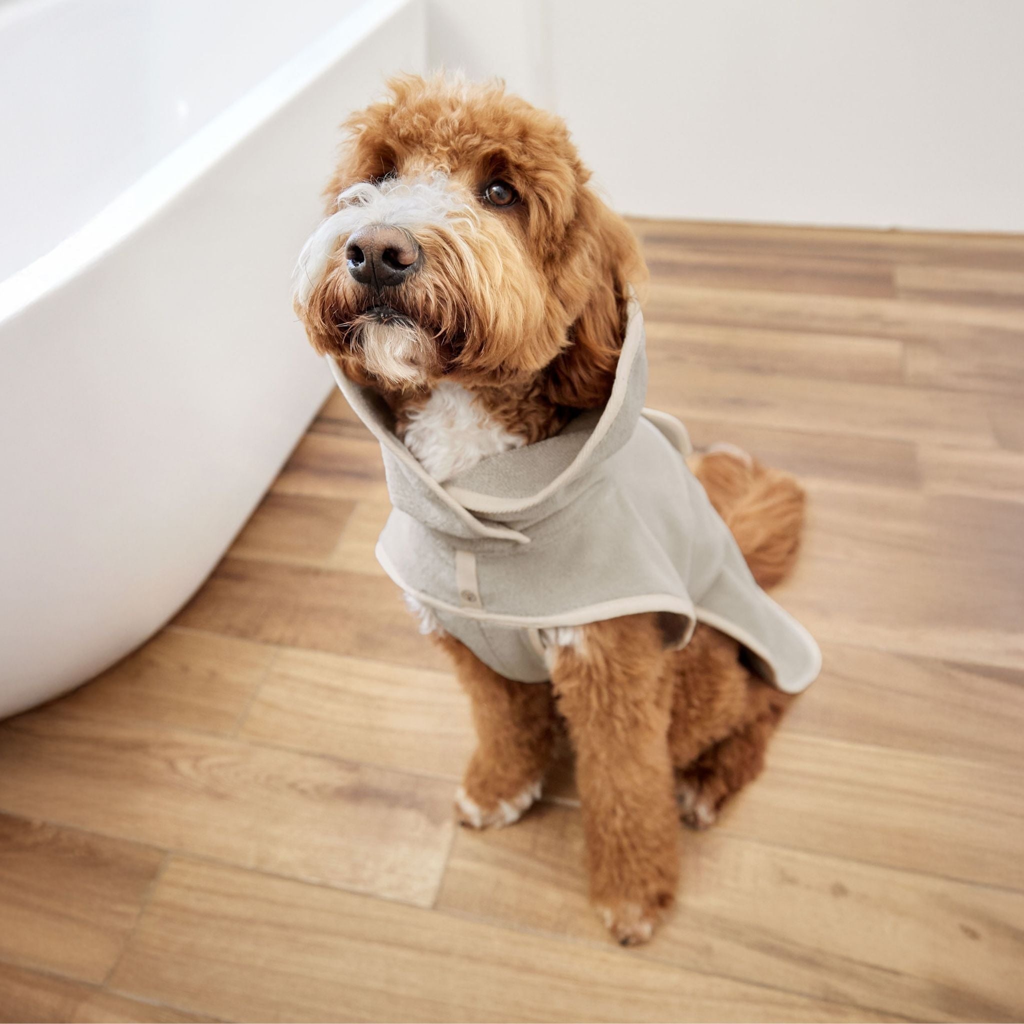 【発売開始前】ドッグバスローブ / Dog Bathrobe Robi | PALOPA Japan(パロパ)