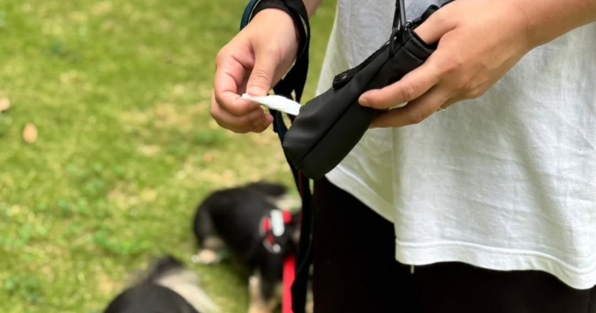 【愛犬家必見】うんち袋を“サッと”取り出せる革新的なお散歩バッグ