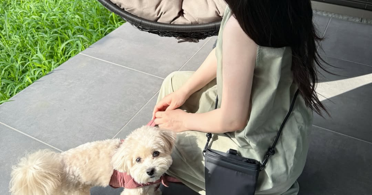 【愛犬家必見】3通りのスタイルが楽しめる！日本初上陸の犬用お散歩バッグ