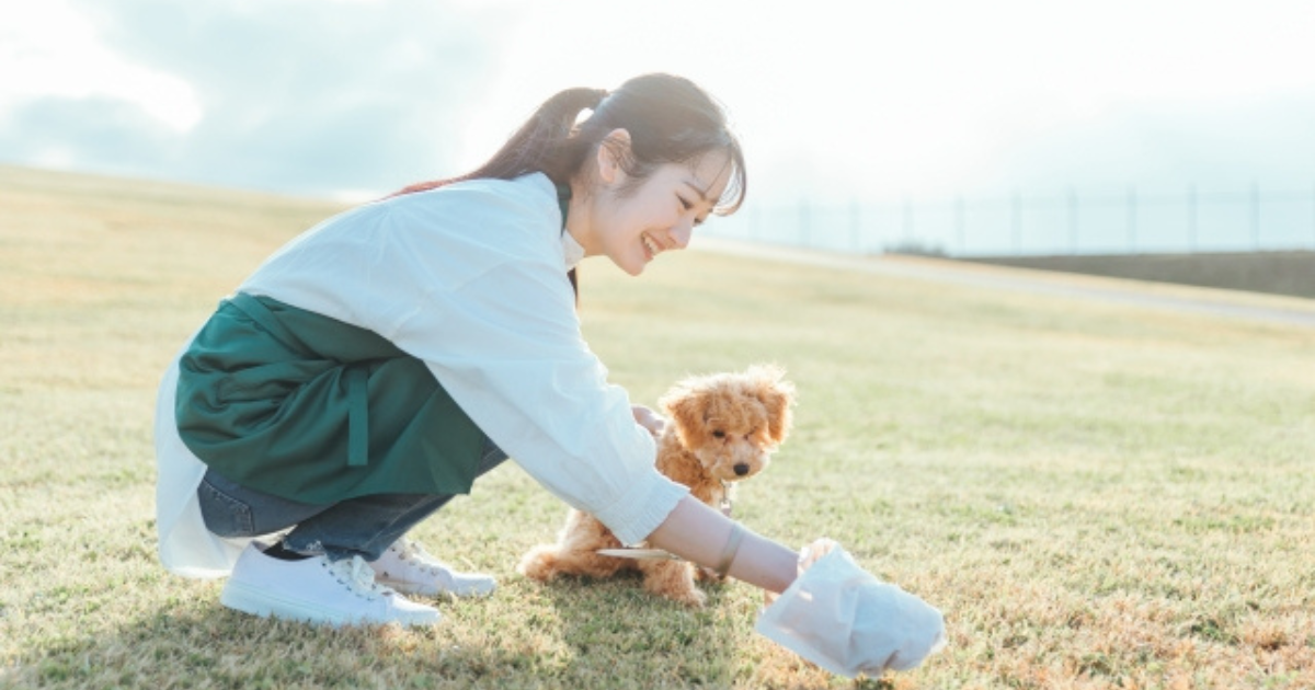 愛犬の散歩でのうんち処理はどうしたらいい？エチケット、神アイテムまで徹底解説