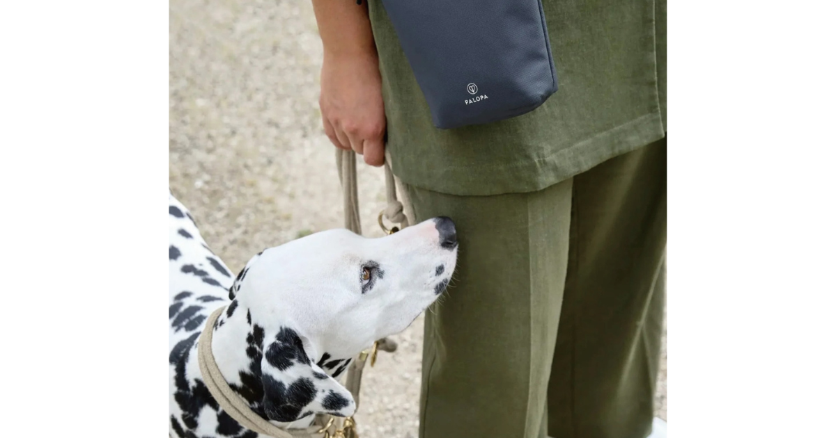 【ドッグトレーナー執筆】愛犬との絆を繋ぐ「トリーツバック（犬のおやつ入れ）」の選び方と活用法