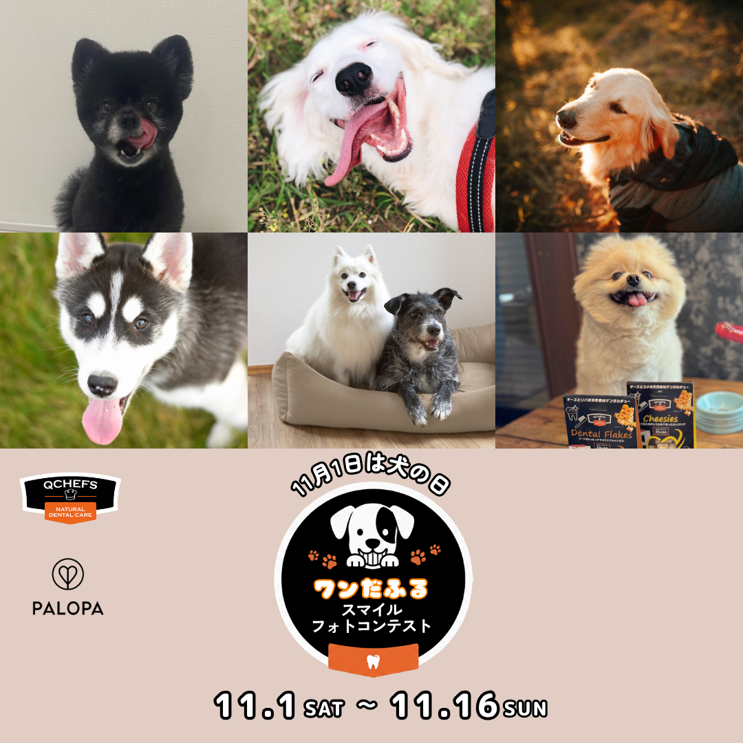 ドイツ発の人気ブランドがタッグ！11月1日「犬の日」から、QCHEFS×PALOPA合同「健やかな歯から、ワンだふるスマイルフォトコンテスト」スタートだワン！