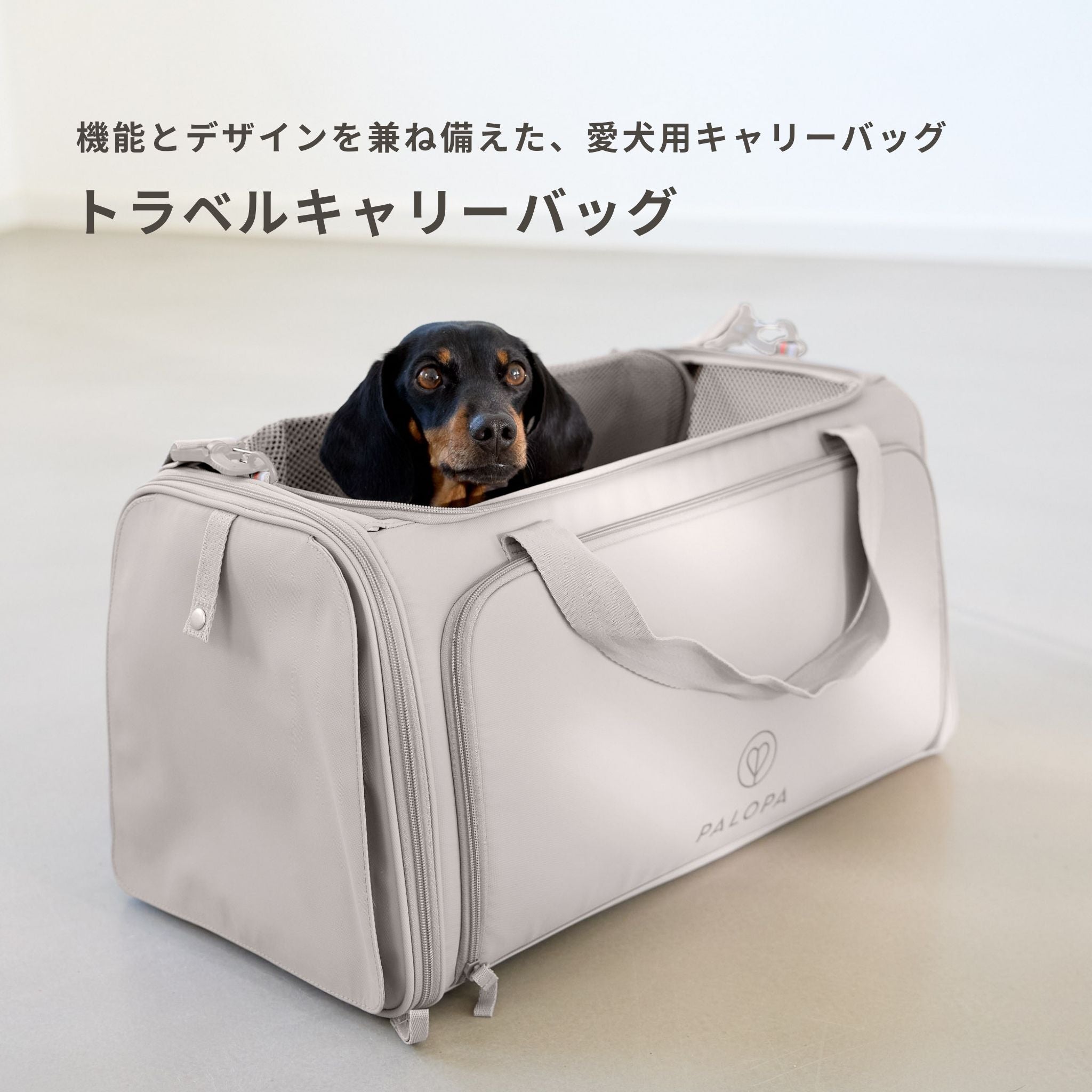 【発売開始前】トラベルキャリーバッグ / Travel Carrier Bag Benno | PALOPA Japan（パロパ）