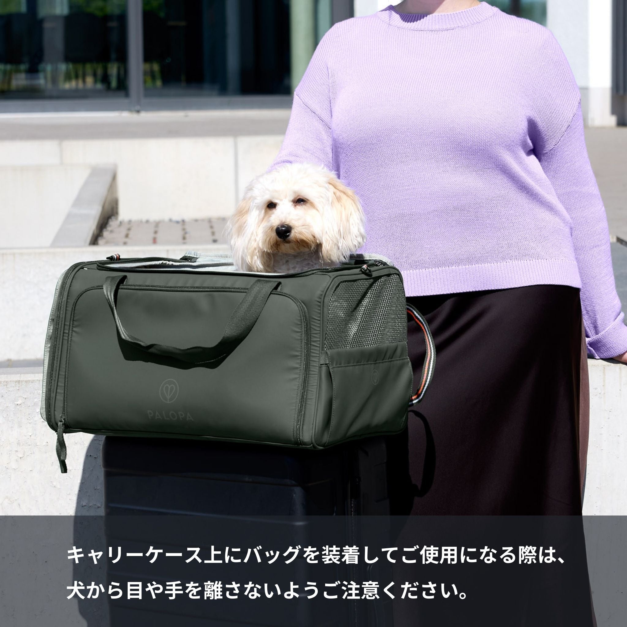 New】トラベルキャリーバッグ / Travel Carrier Bag Benno | PALOPA