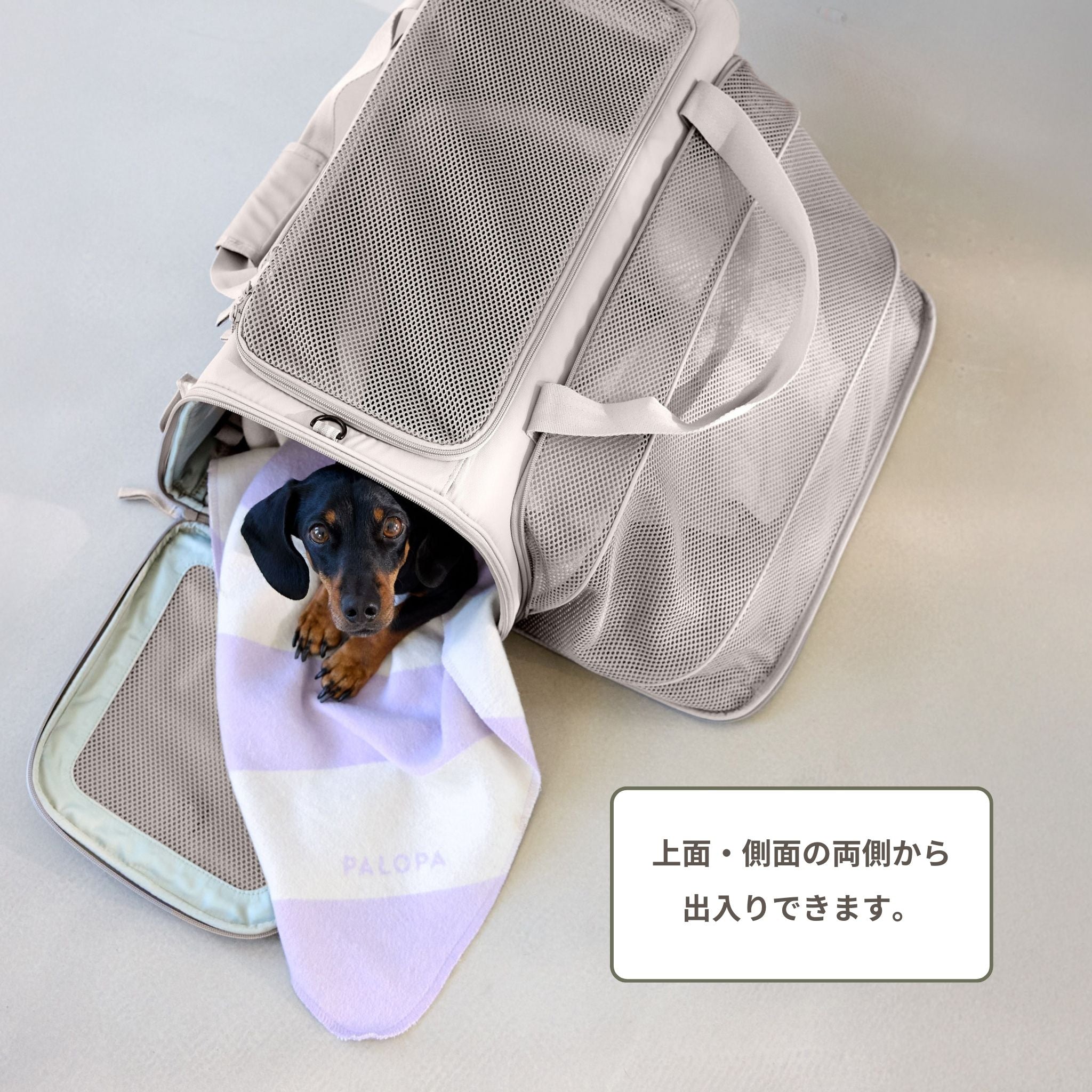 【発売開始前】トラベルキャリーバッグ / Travel Carrier Bag Benno | PALOPA Japan（パロパ）
