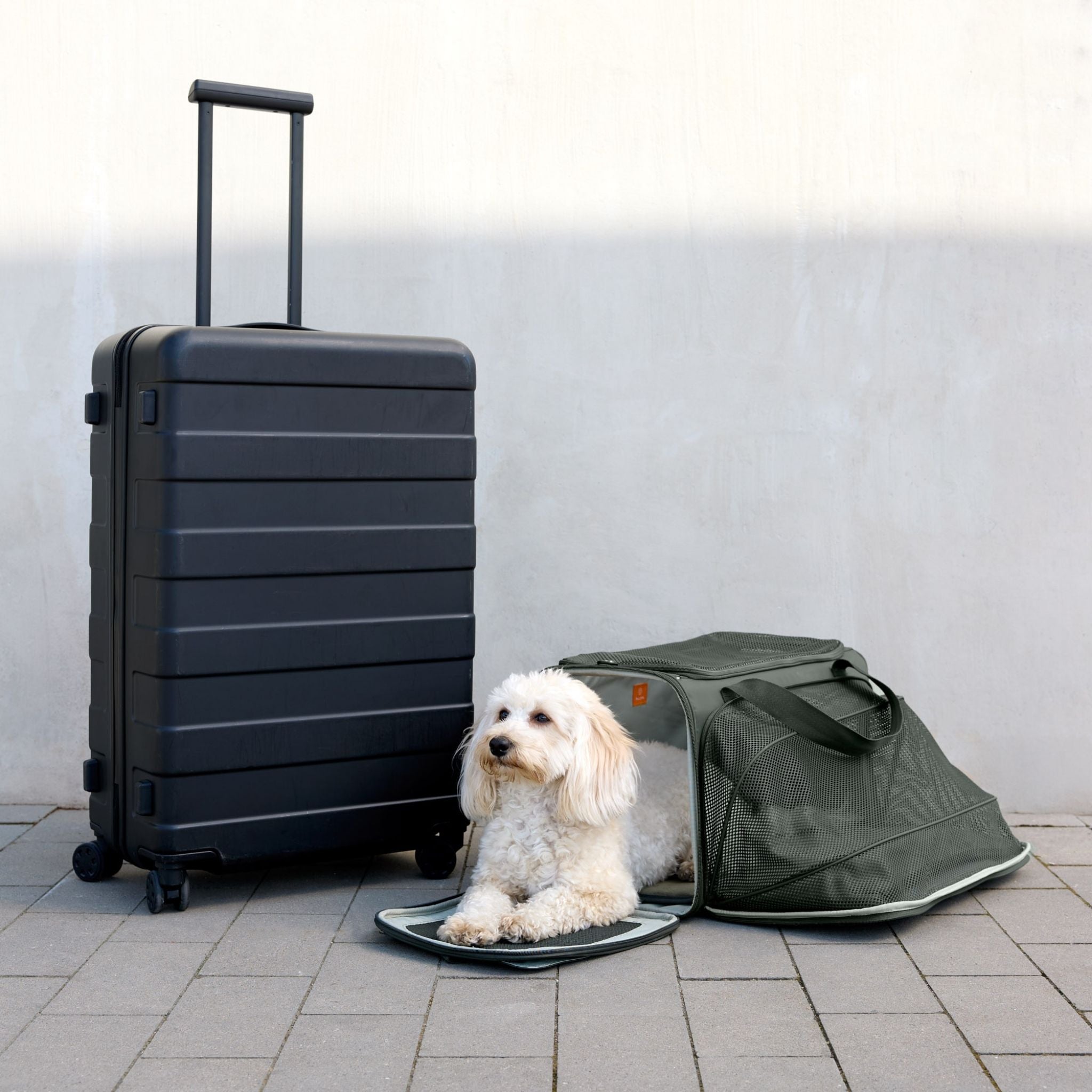 【発売開始前】トラベルキャリーバッグ / Travel Carrier Bag Benno | PALOPA Japan（パロパ）