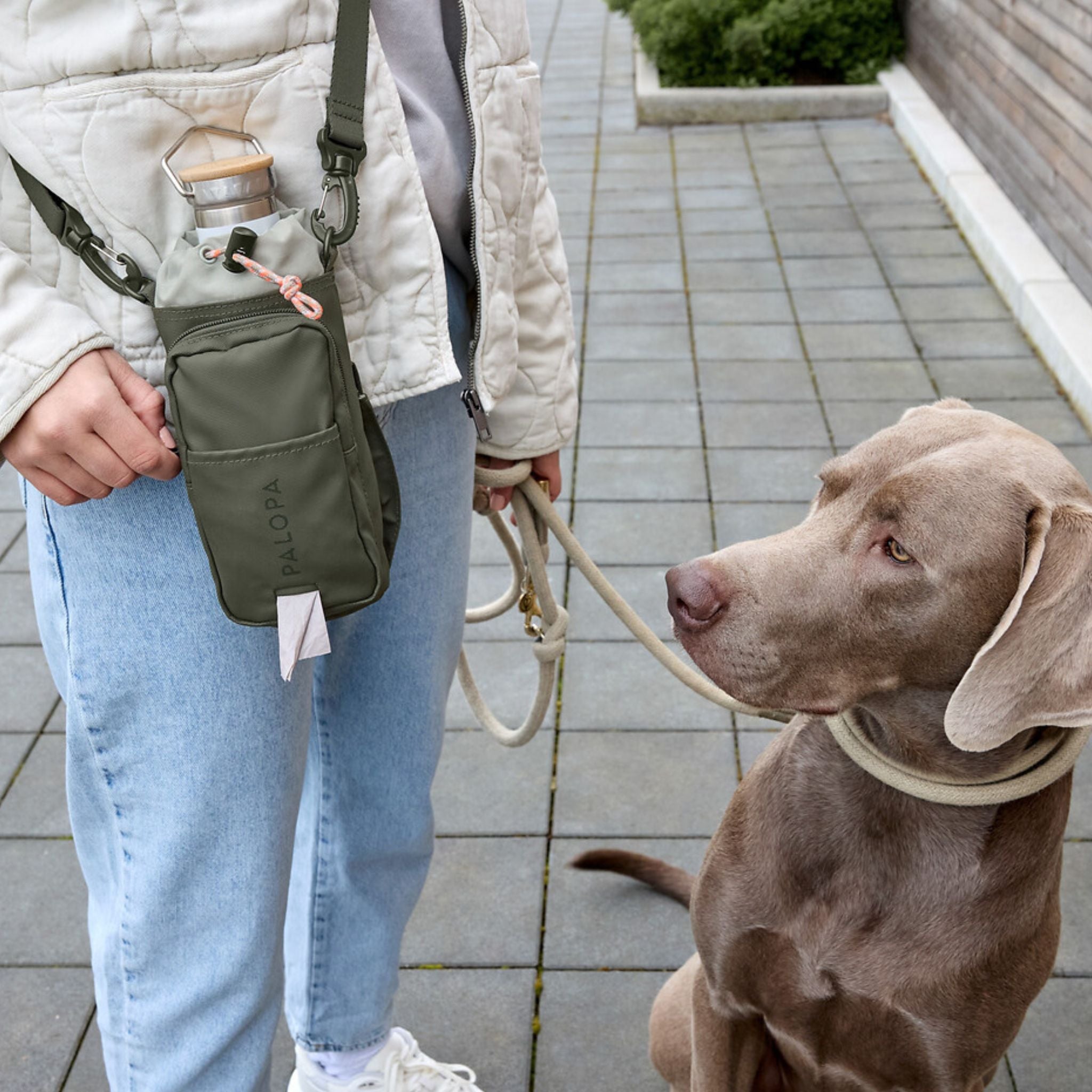 Boudi（犬のおでかけ用ボトル＆おやつポーチ） / Bottle Snack Bag Boudi | PALOPA Japan（パロパ）