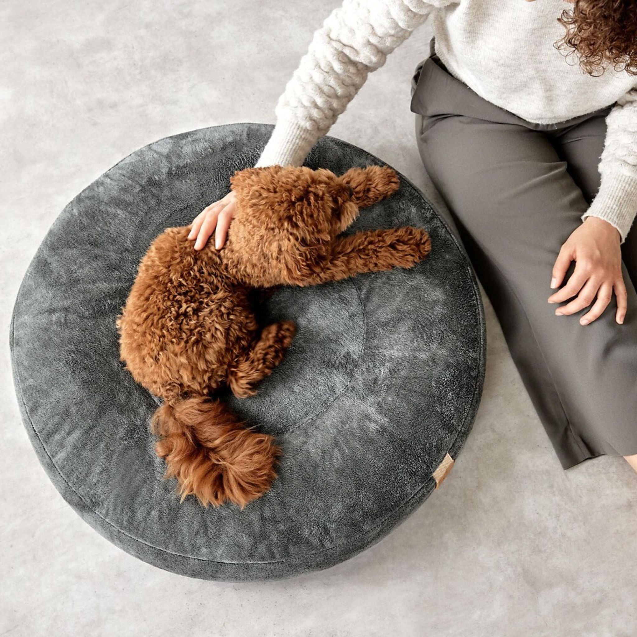 【夏・冬両用】丸型犬用ベッド / Dog Bed Donut | PALOPA Japan（パロパ）