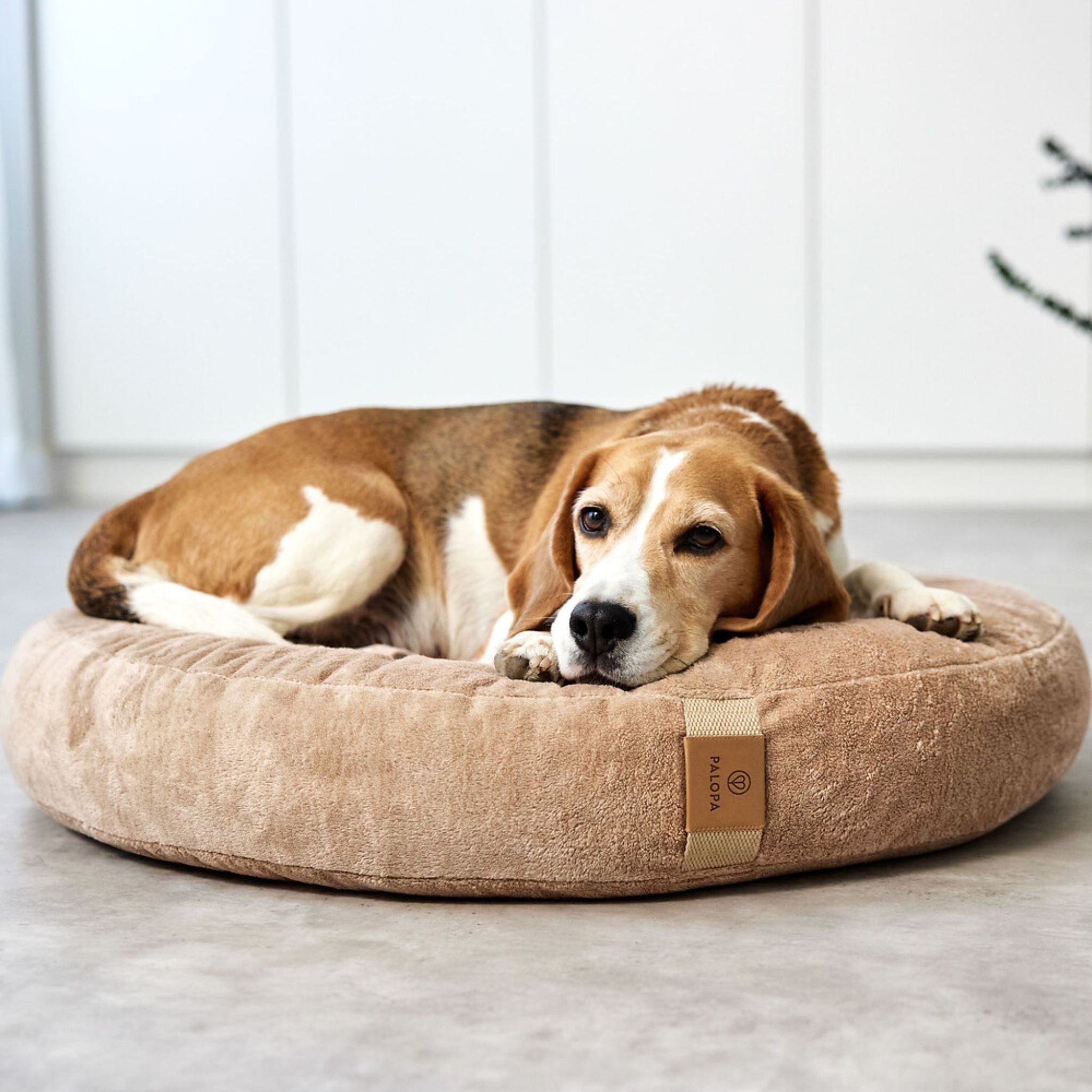 【夏・冬両用】丸型犬用ベッド / Dog Bed Donut | PALOPA Japan（パロパ）