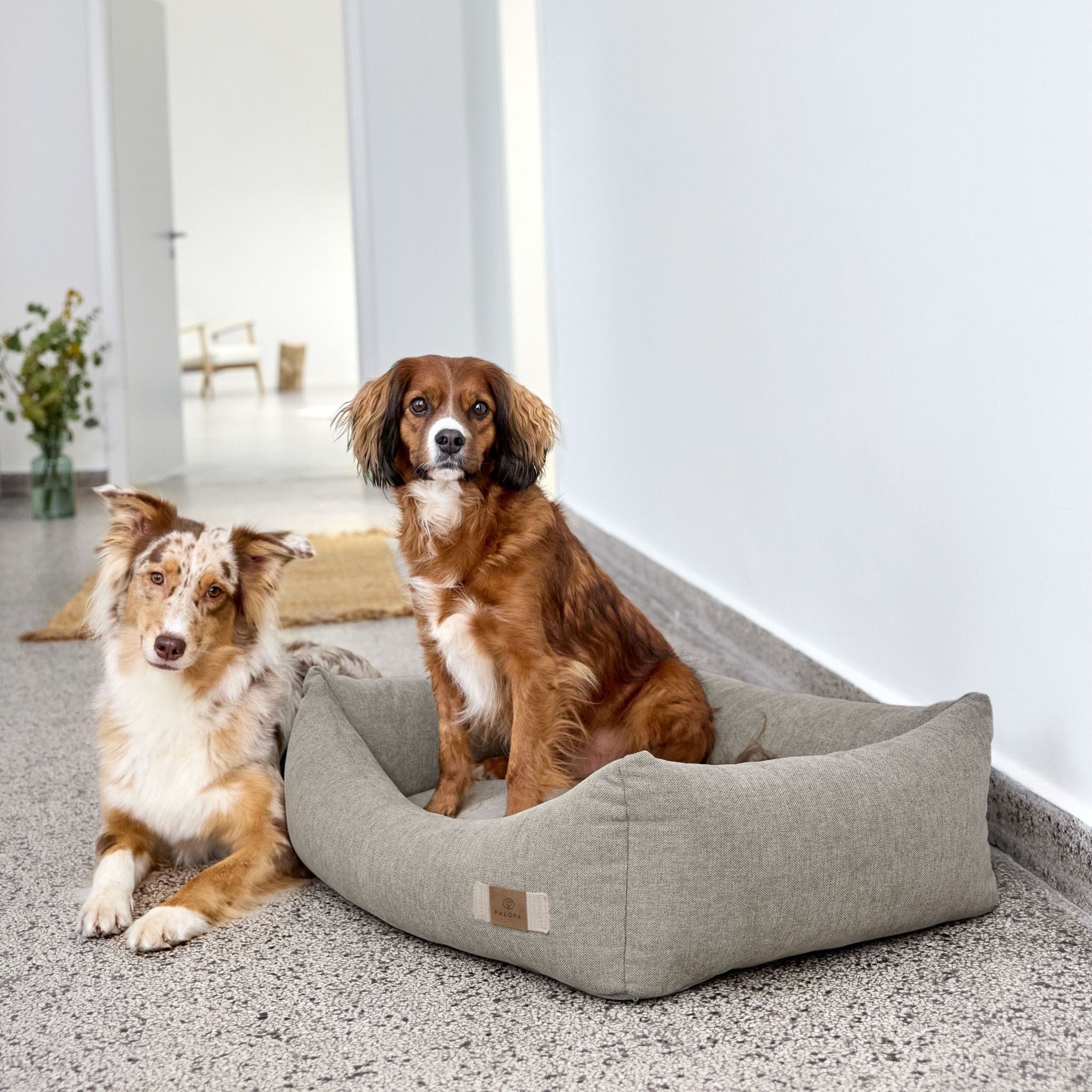 【New】犬用コットンベッド / Dog Bed Cotton | PALOPA Japan（パロパ）