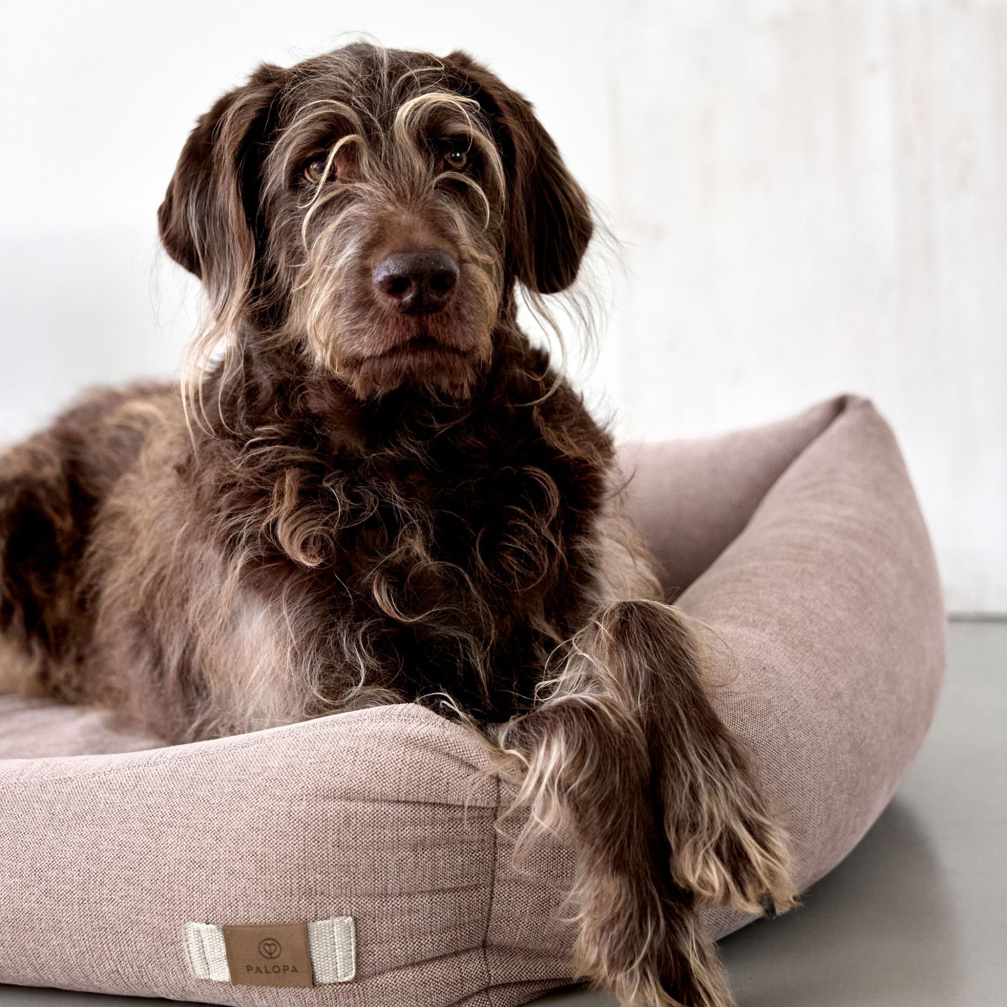 【New】犬用コットンベッド / Dog Bed Cotton | PALOPA Japan（パロパ）