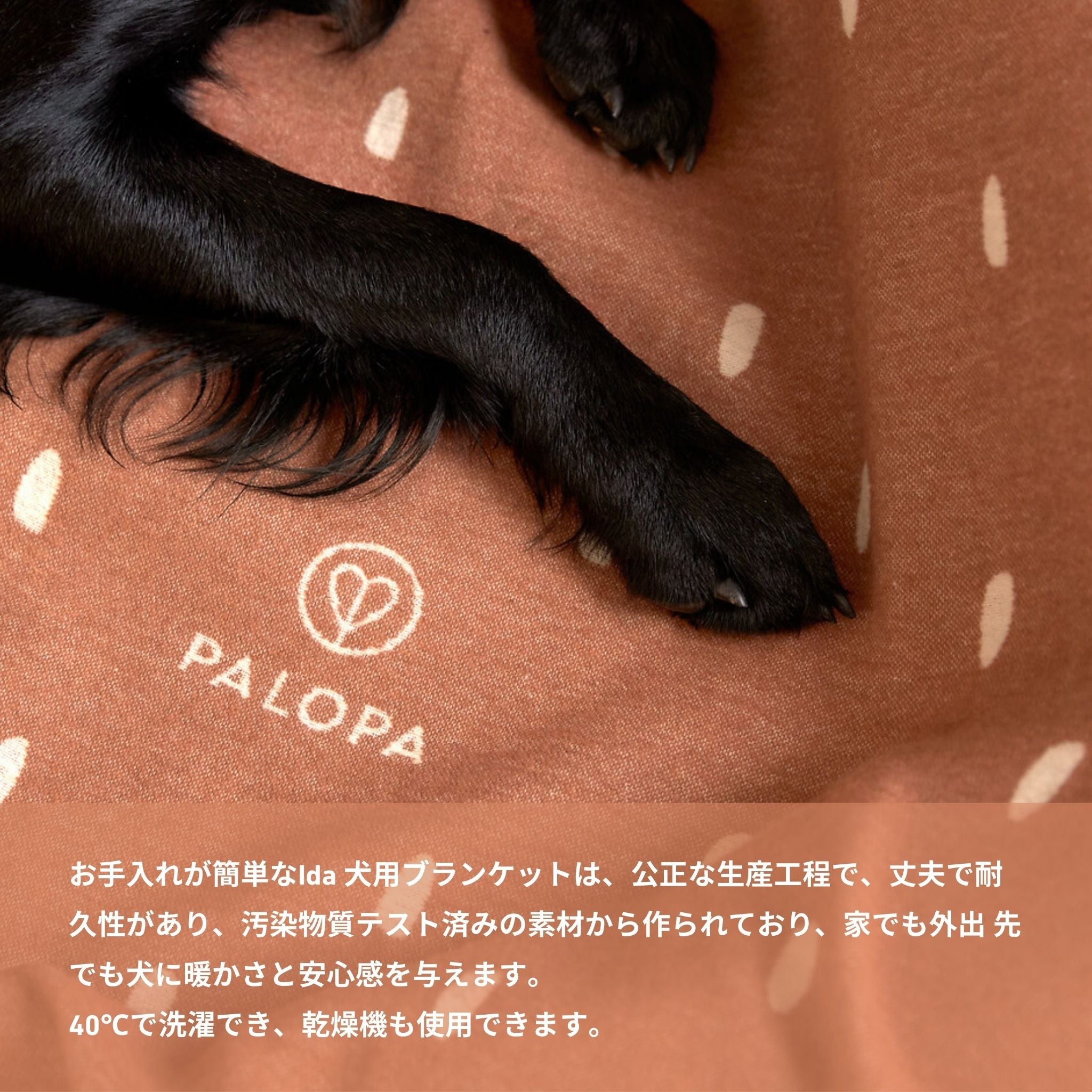 【発売開始前】ドッグブランケット / Dog Blanket Ida | PALOPA Japan（パロパ）