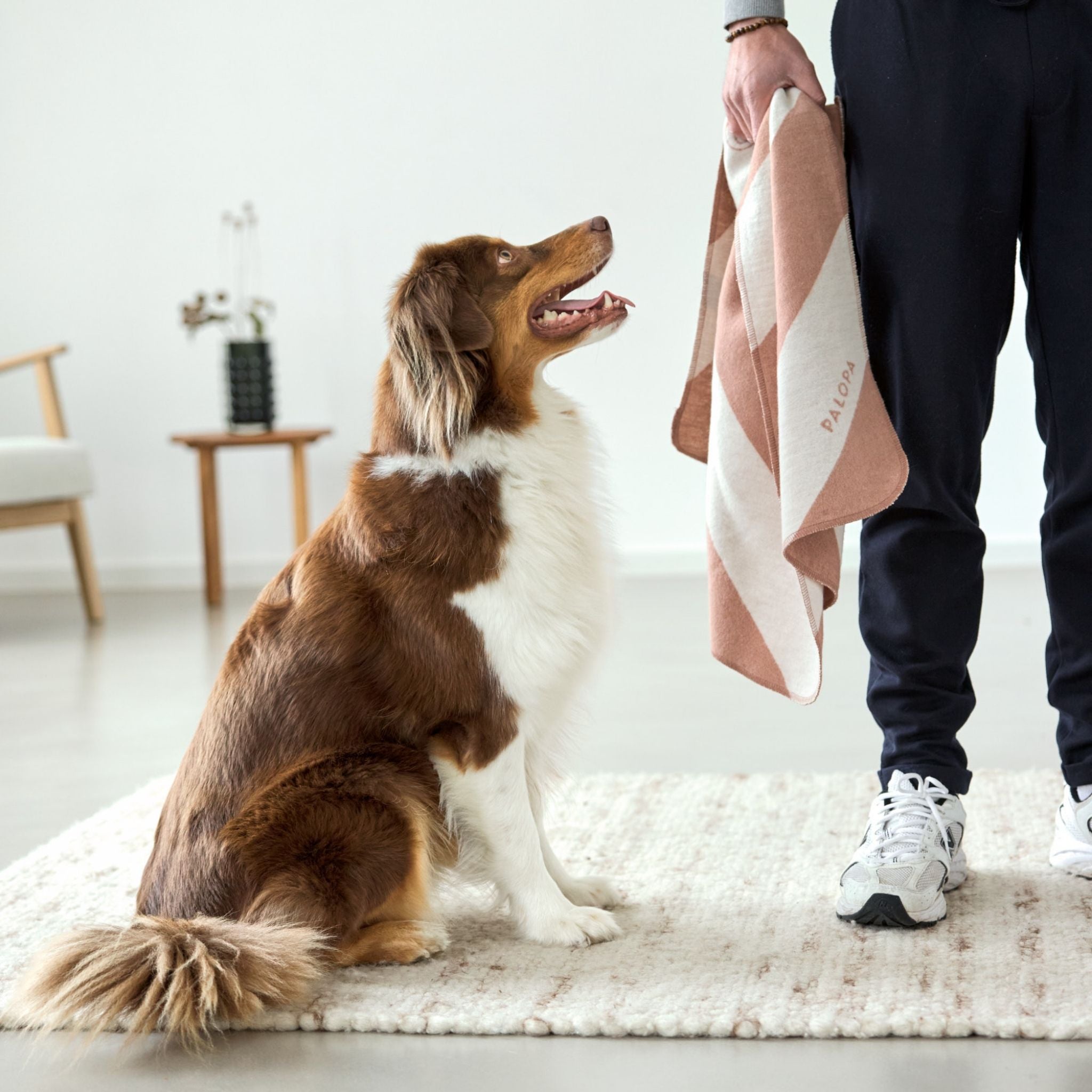 【発売開始前】ドッグブランケット / Dog Blanket Ida | PALOPA Japan（パロパ）