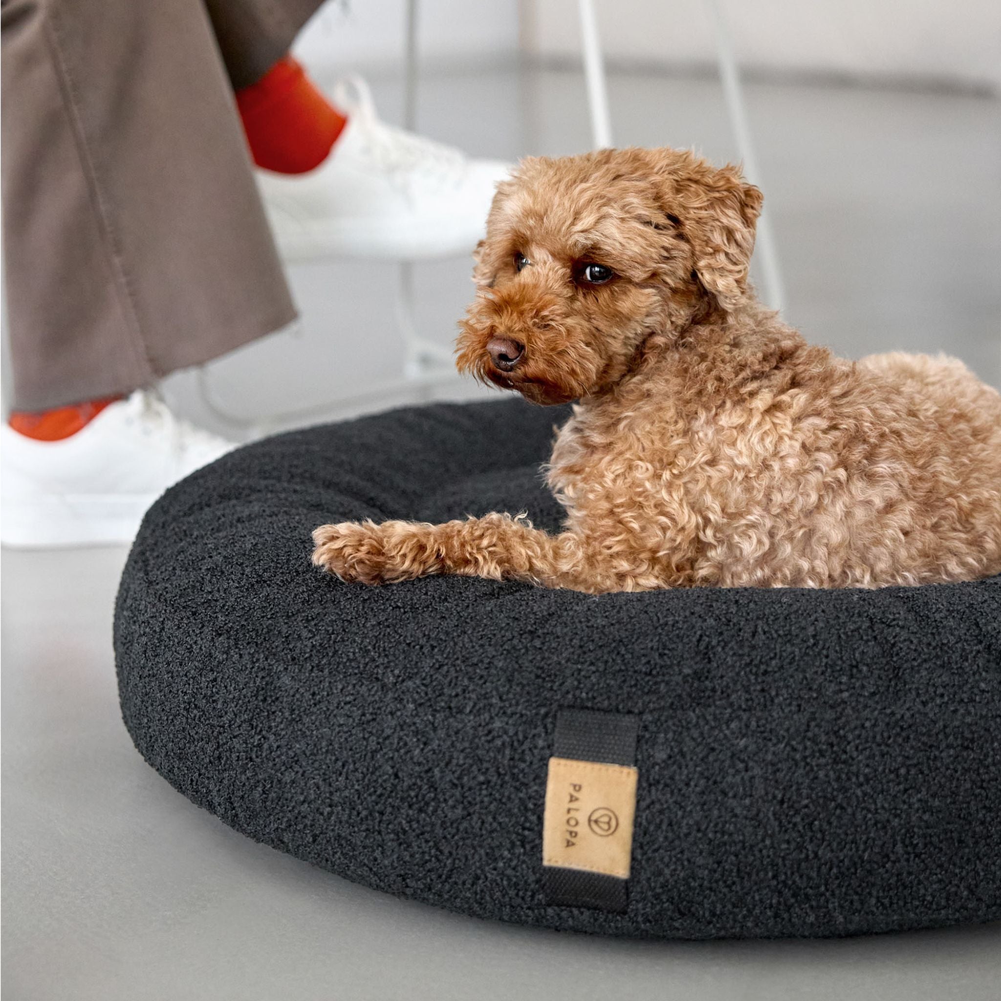 NEW】丸型犬用ベッド / Dog Bed Donut | PALOPA Japan（パロパ）